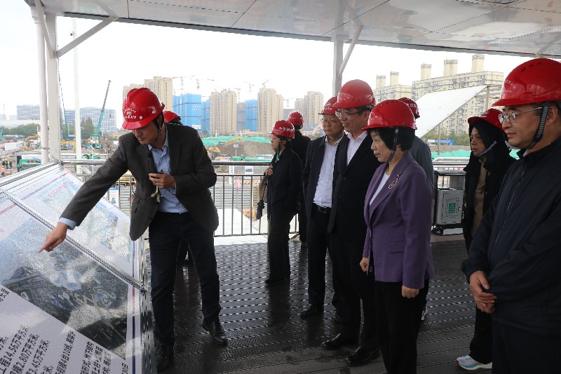 区人大代表集中视察“美丽城区”建设工作