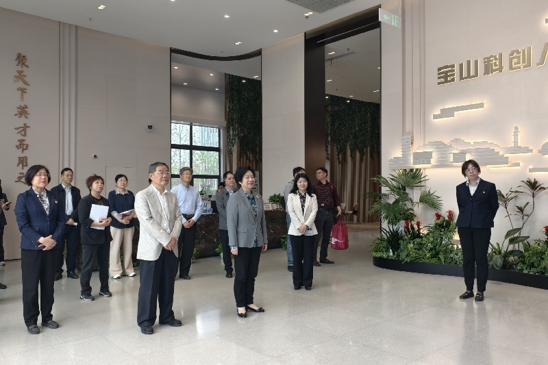 区人大常委会执法检查组开展《上海市优化营商环境条例》贯彻落实情...