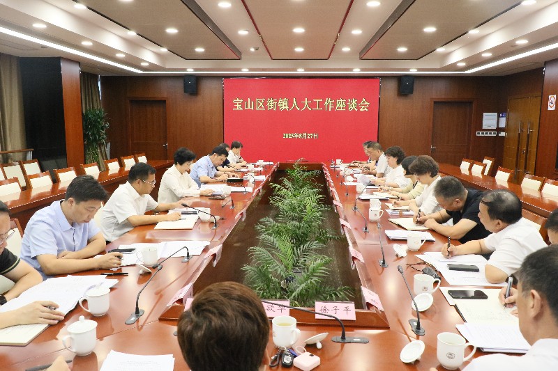 宝山区街镇人大工作座谈会召开