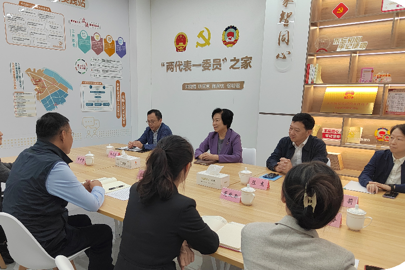 区人大常委会主任李萍赴罗泾镇开展调研