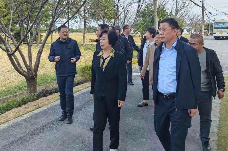 区人大常委会开展乡村振兴专题调研