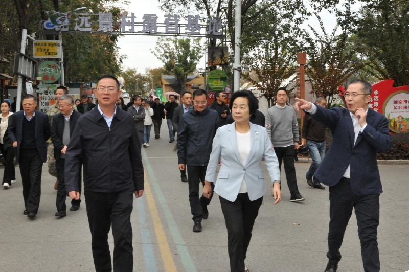 区人大代表集中视察“产业转型、乡村振兴”工作