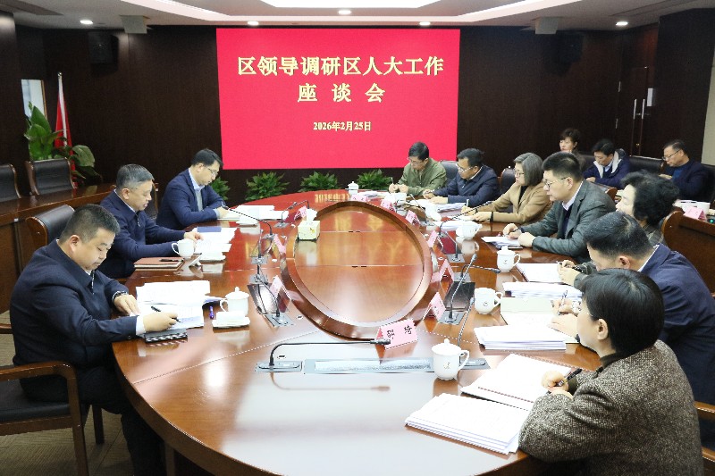 区委书记李晨昊调研人大工作