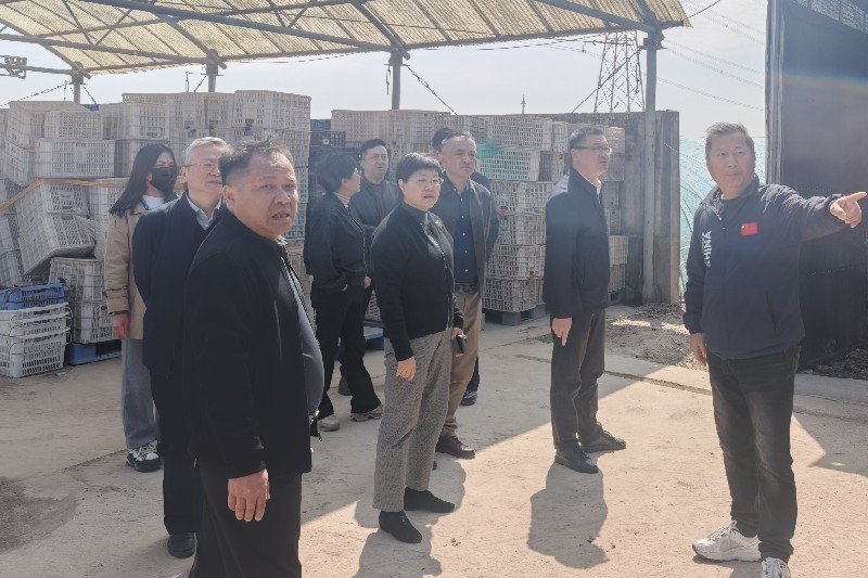 区人大常委会开展《上海市无废城市建设条例》执法检查暨乡村文旅发...