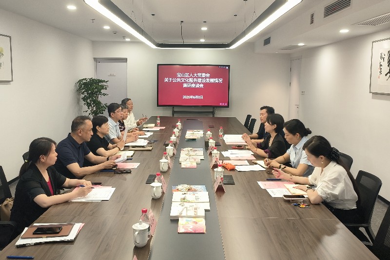 区人大常委会调研公共文化服务建设发展情况